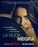 Игра вдовы смотреть онлайн (2025)